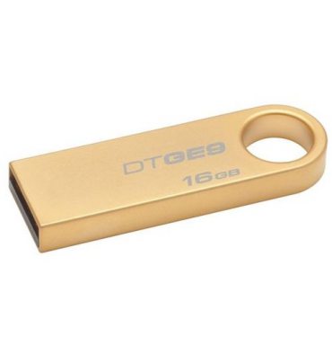 Флеш накопичувач USB Kingston DataTraveler GE9 16GB